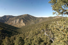 Wildrose Peak 