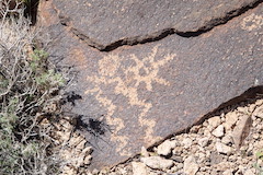 petroglyph 