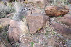 petroglyphs 